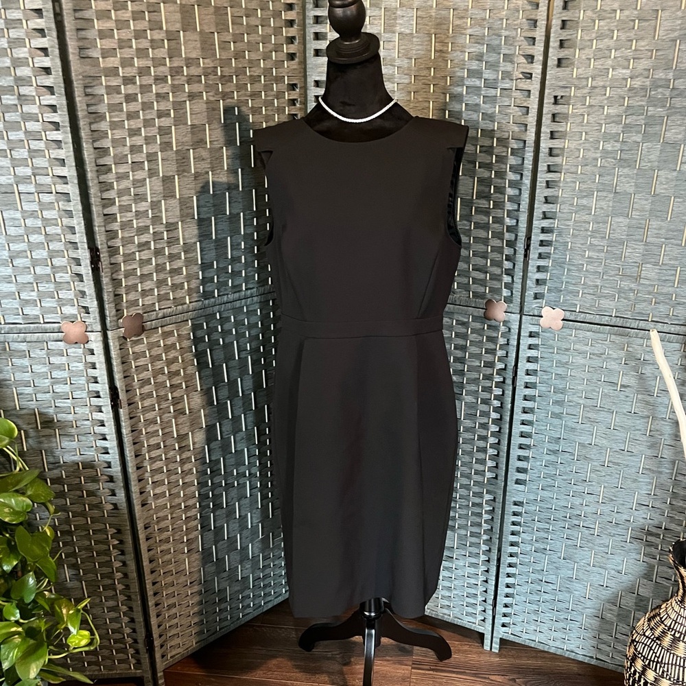 J Crew Sheath Dress